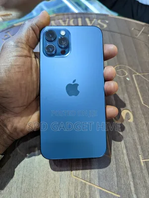 Apple iPhone 12 Pro Max 256 GB Blue