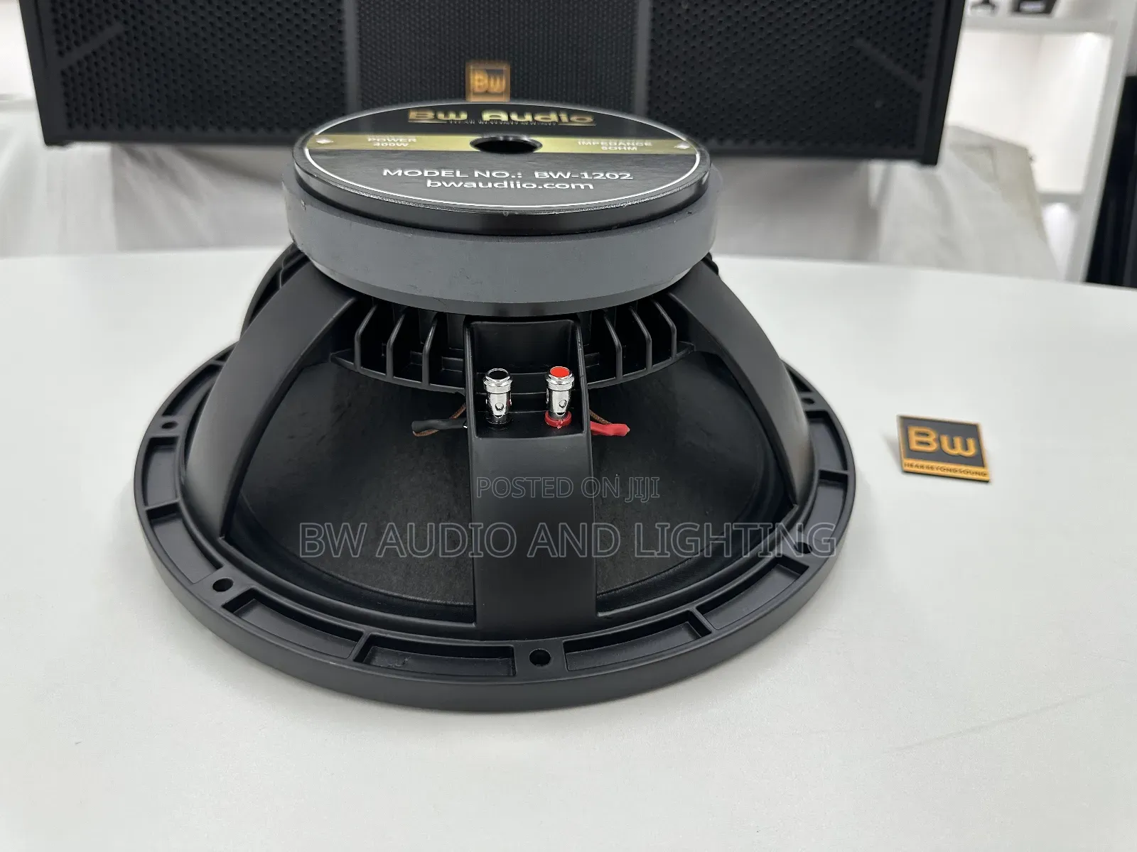 12 Inch Speaker - Bw1202