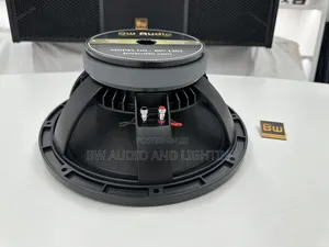 12 Inch Speaker - Bw1202