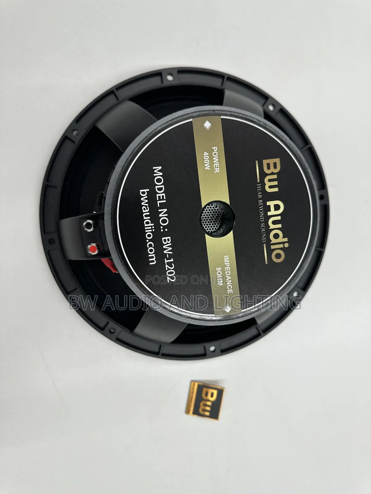 12 Inch Speaker - Bw1202