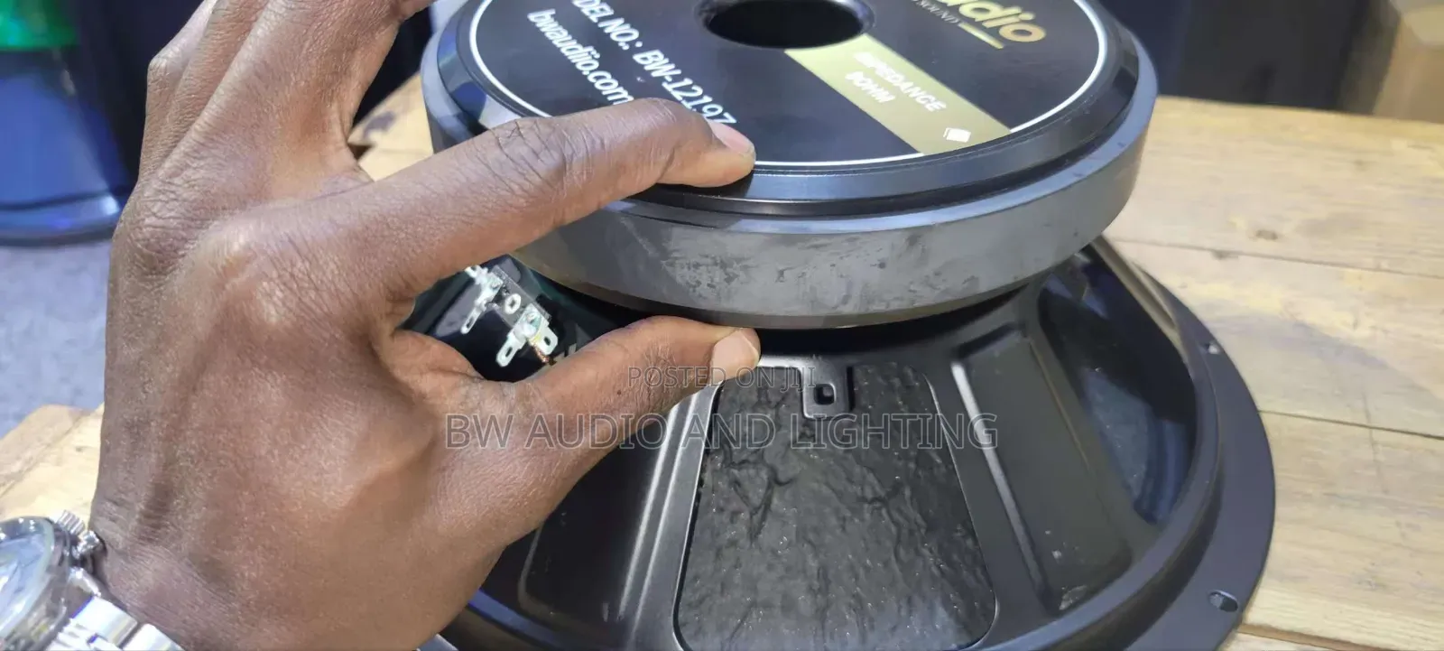 12inch Woofer Speaker