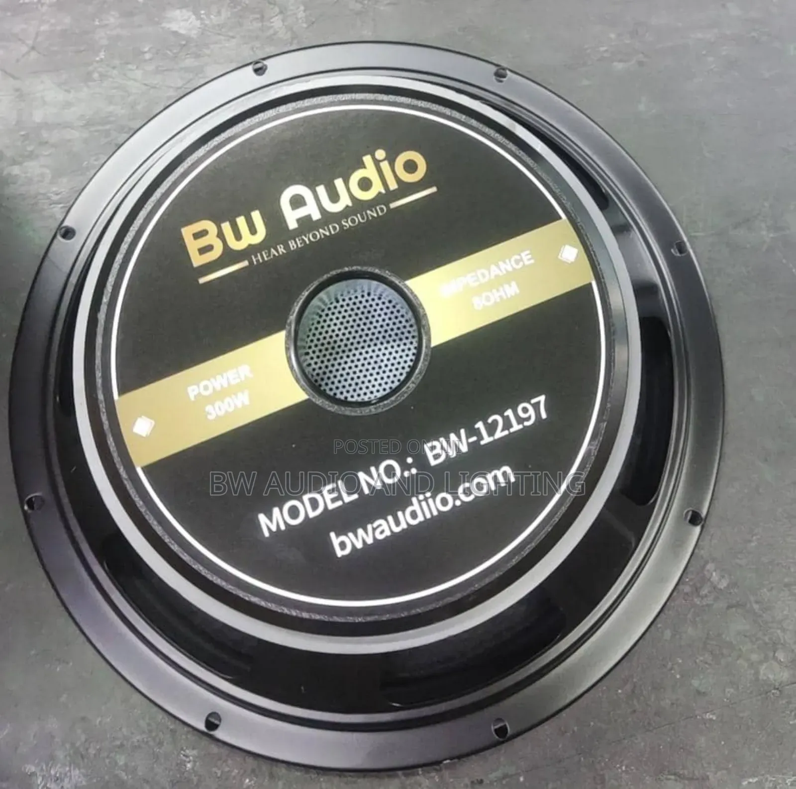 12inch Woofer Speaker