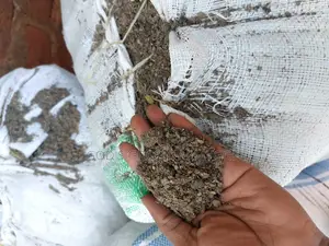 Hen Manure