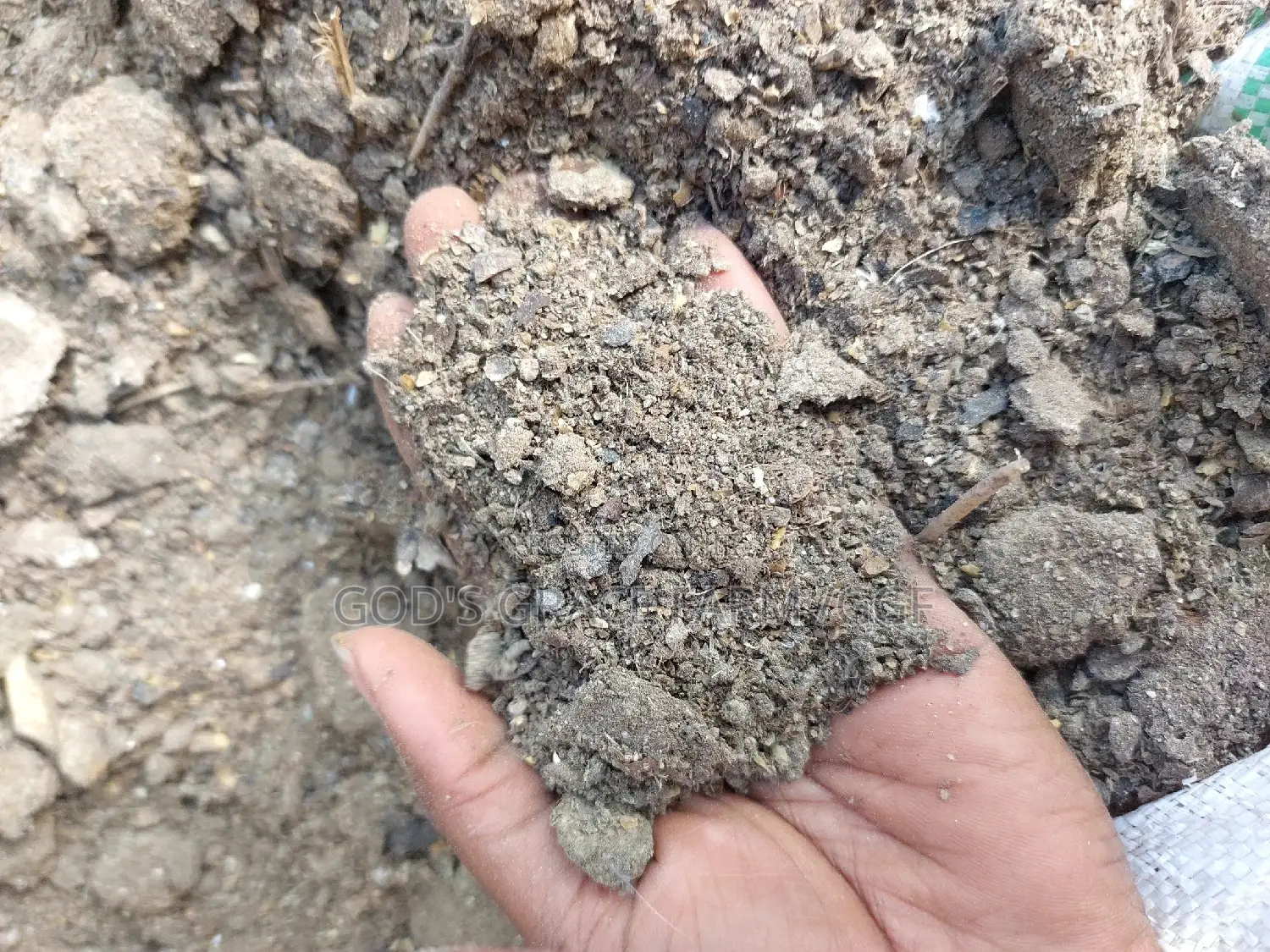 Hen Manure