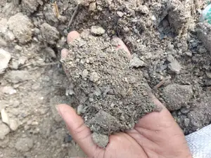 Hen Manure