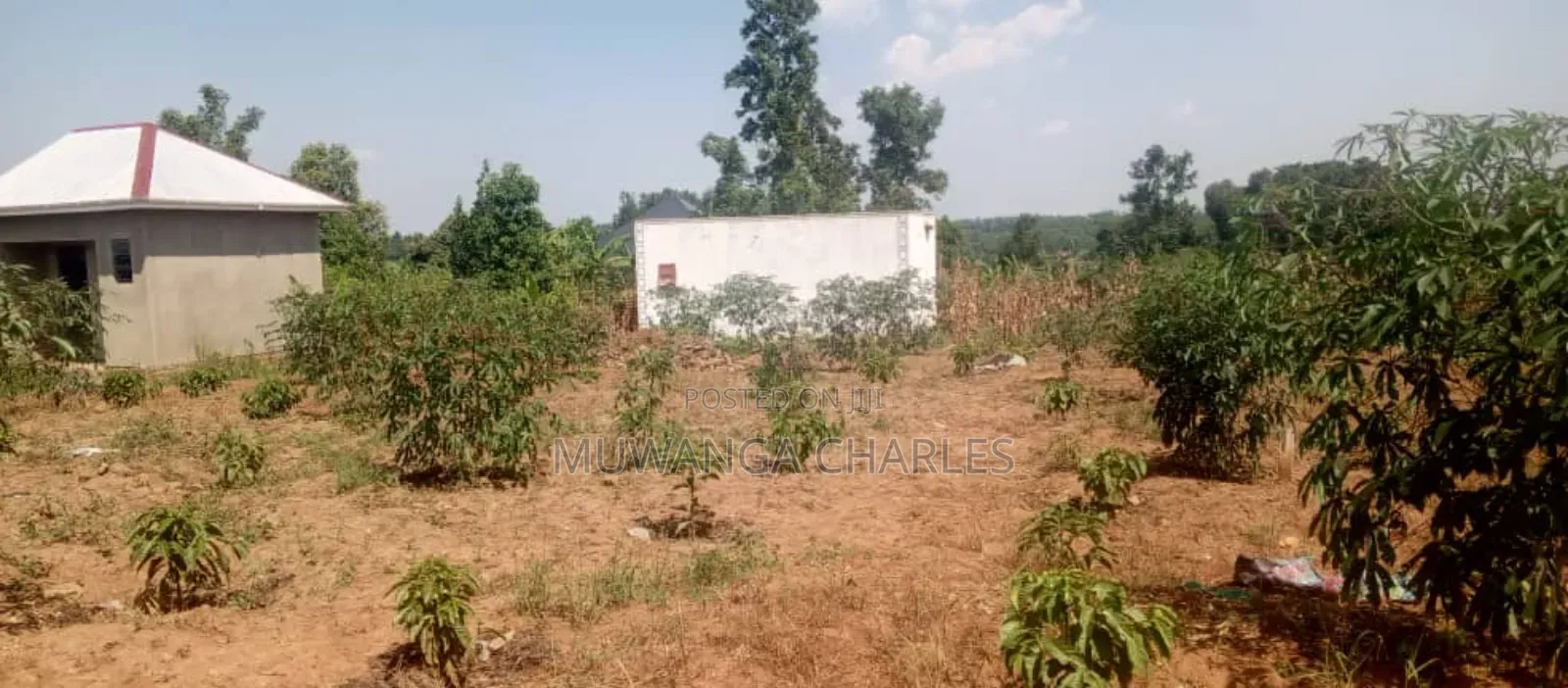 Plot's for Sale in Matuga Sanga