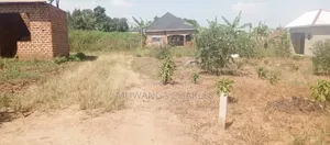 Plot's for Sale in Matuga Sanga