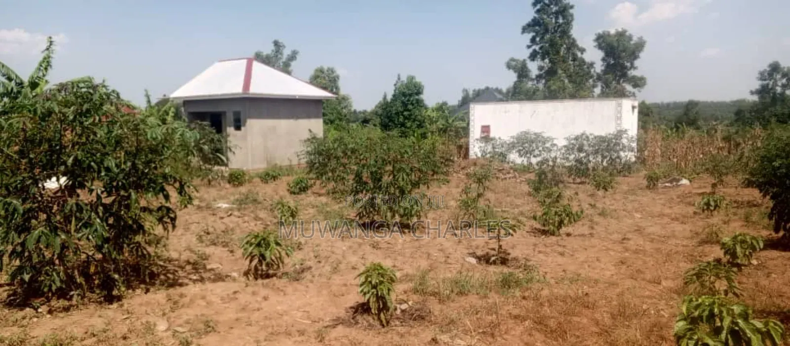 Plot's for Sale in Matuga Sanga