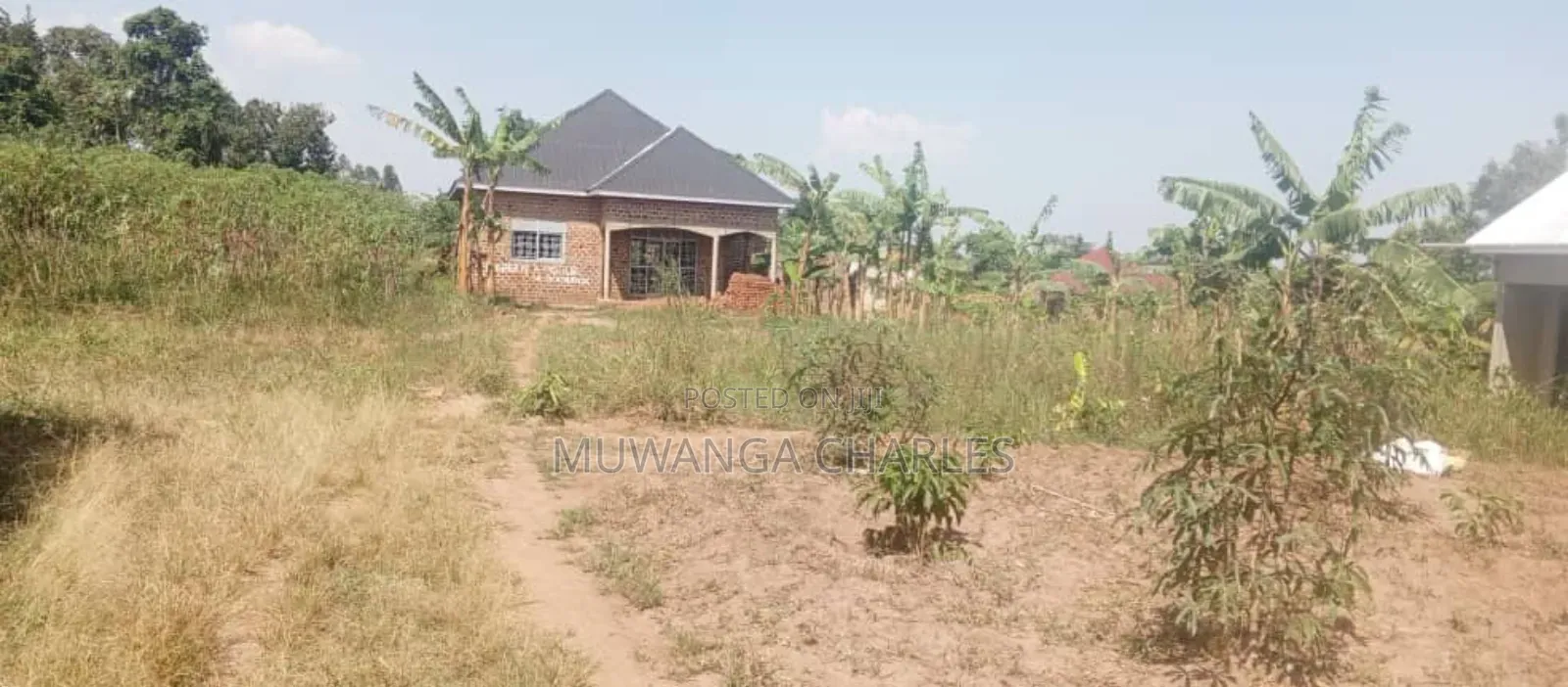 Plot's for Sale in Matuga Sanga
