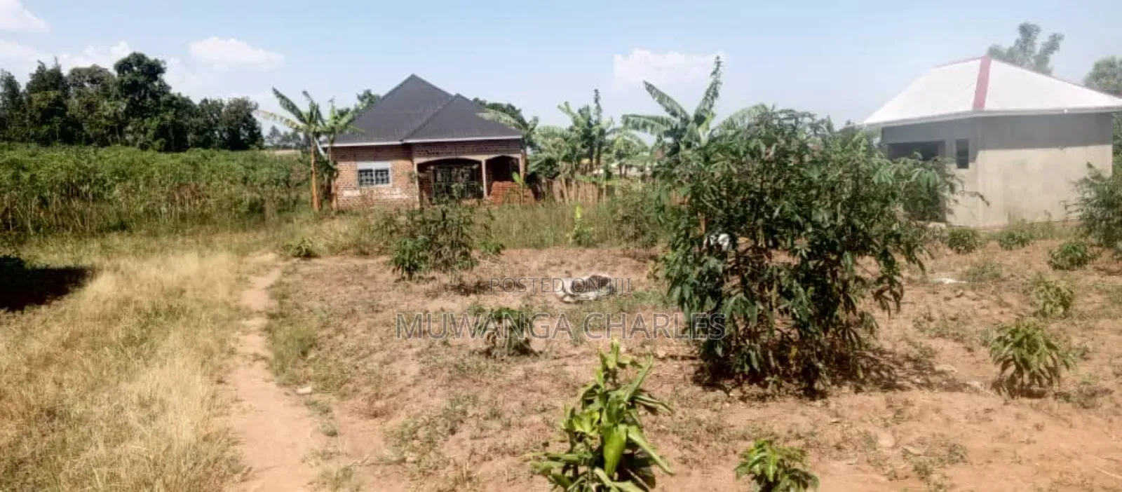 Plot's for Sale in Matuga Sanga