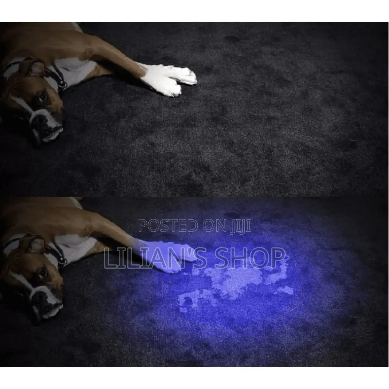 Ultraviolet Portable Flashlight/Money Detector
