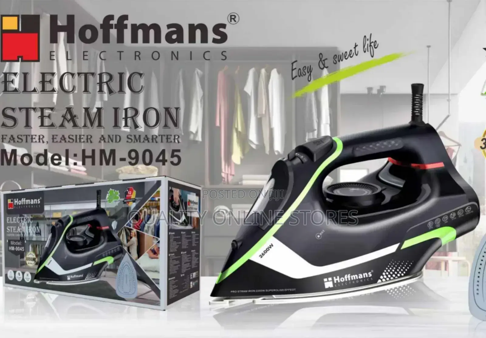 Electric Steam Iron