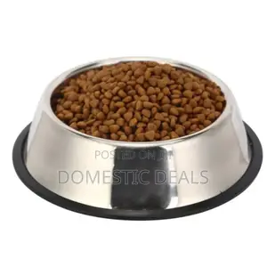Pet Feeding Bowl