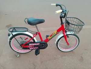 Renault Kids Bike