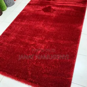Shaggy Largr Sized Carpets