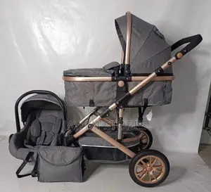 2 in 1 Stoller and Car Seat