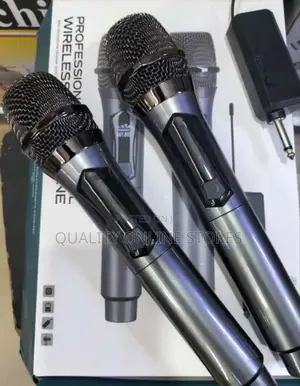 Professional Microphone