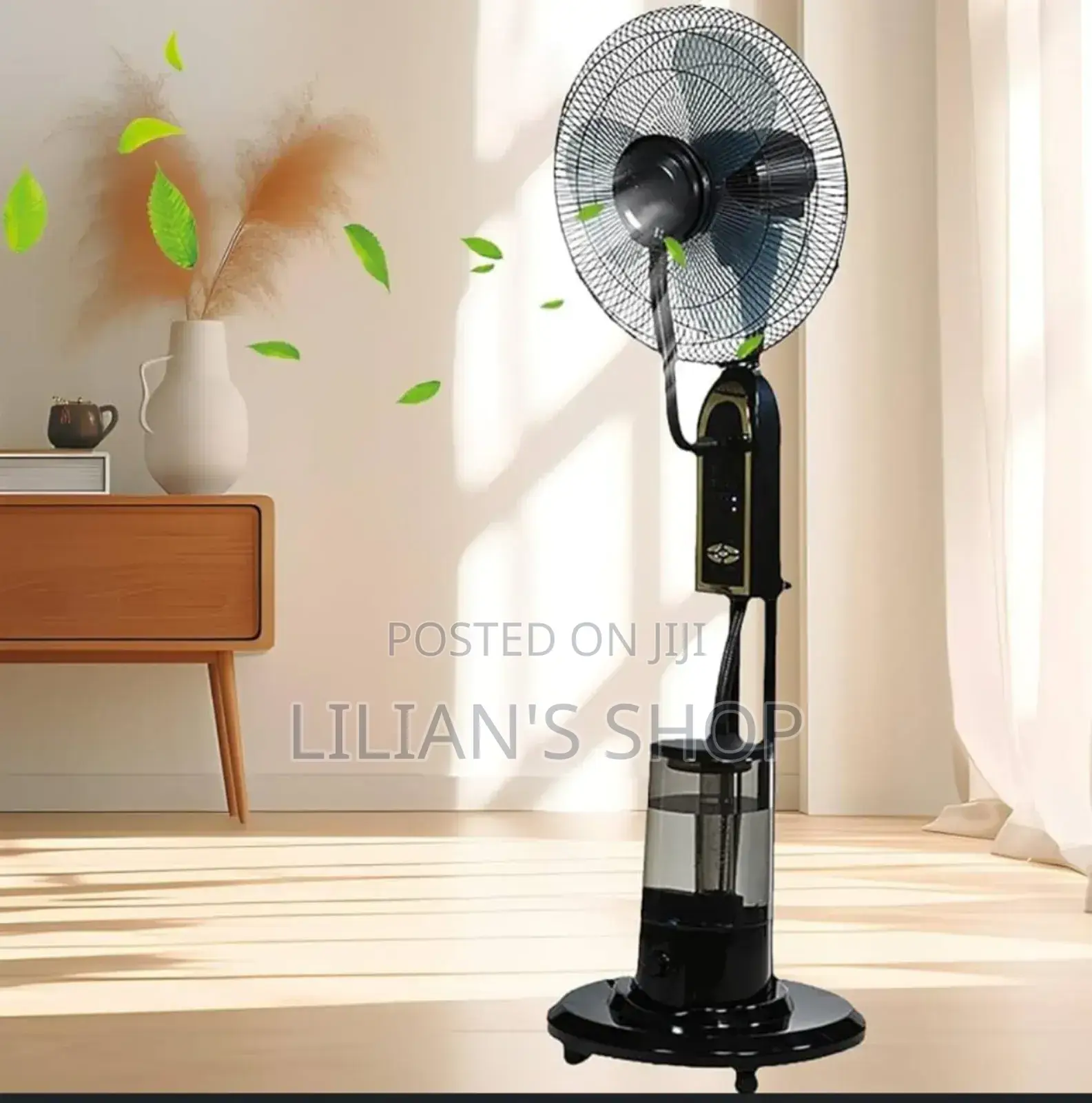 Home Mist Fan