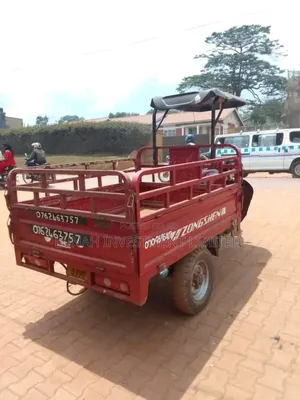 Tricycle 2024 Red