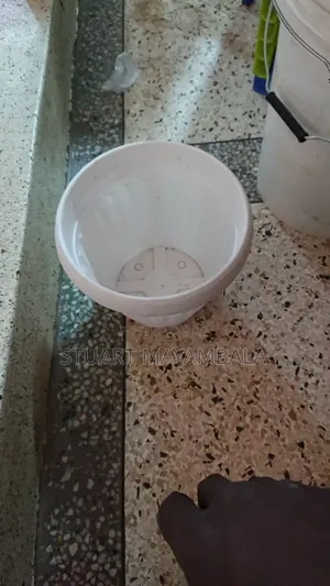 Flower Vessels