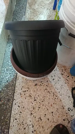 Flower Vessels