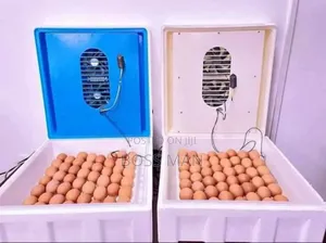 128 Solar Egg Incubator