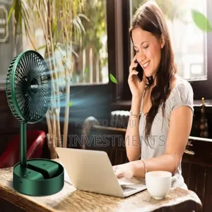 Portable Fan