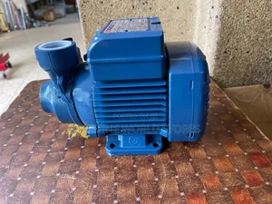Pedrollo Surface Water Pump 40m 0.5hp