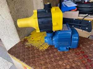 0.5hp Pedrollo Waterpump With Automatic Pump Control