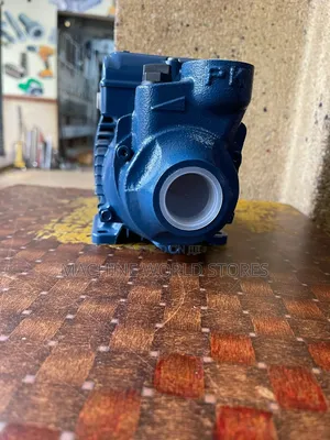Portable Surface Water Pump Pedrollo