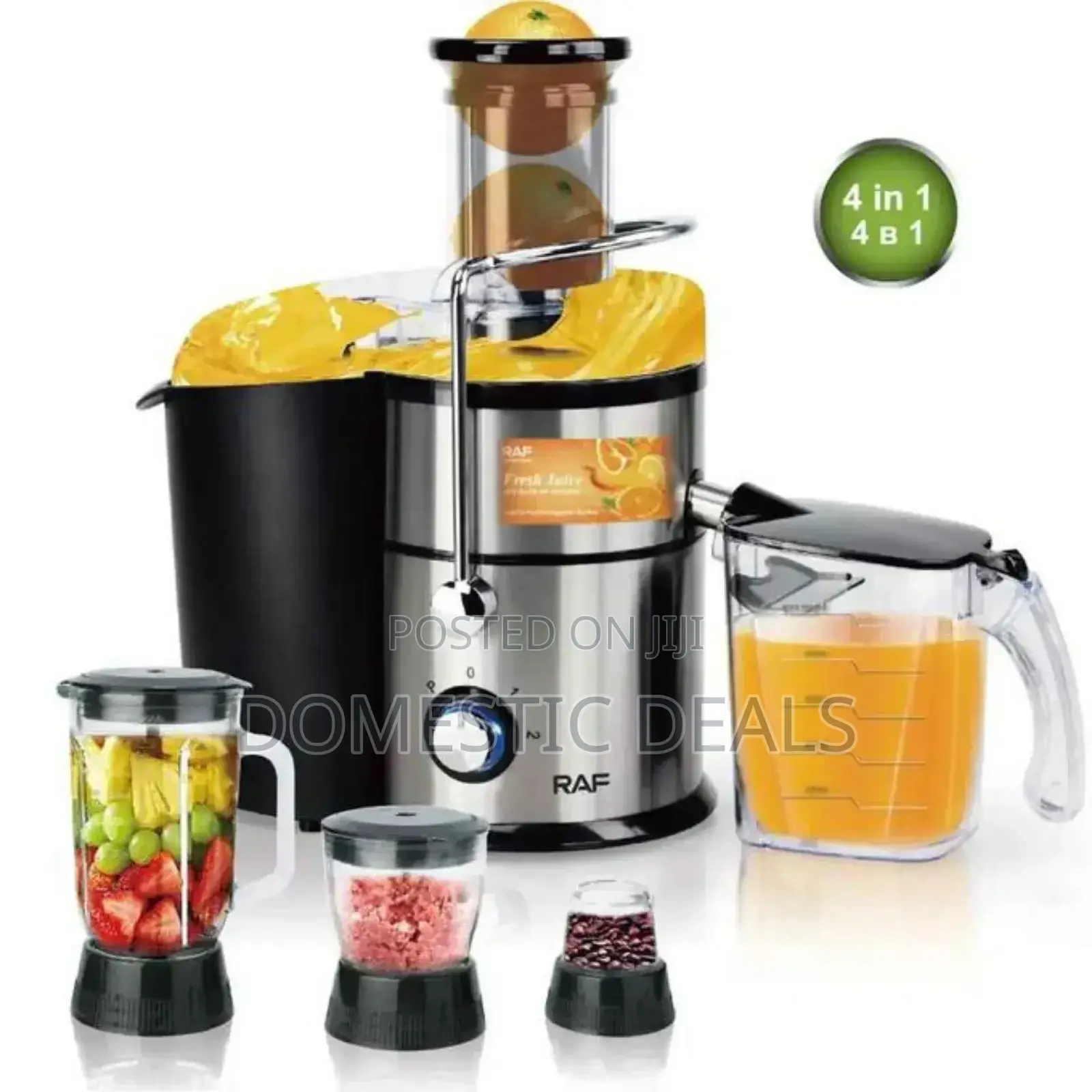 Raf 4in1 1000w Juice Extractor