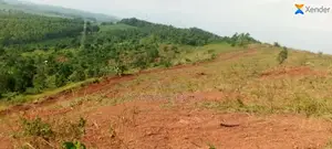 Land for Sale in Wakiso Baka