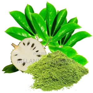 Photo - .Soursop Leaf Powder
