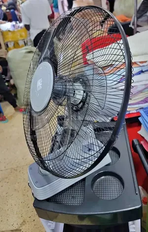 PTL Wall Fan, Electric for Home and Office