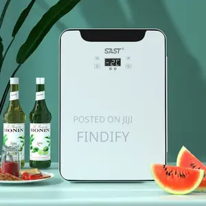 12l Fresh Hot
And Cold Dual Purpose Car Refrigerator