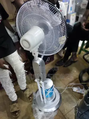 Stand Fan of Mist Output