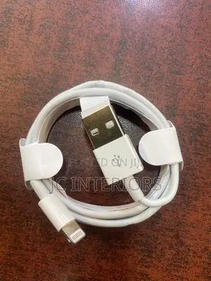 iPhone / Lightning Charger