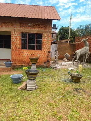 Flower Pots