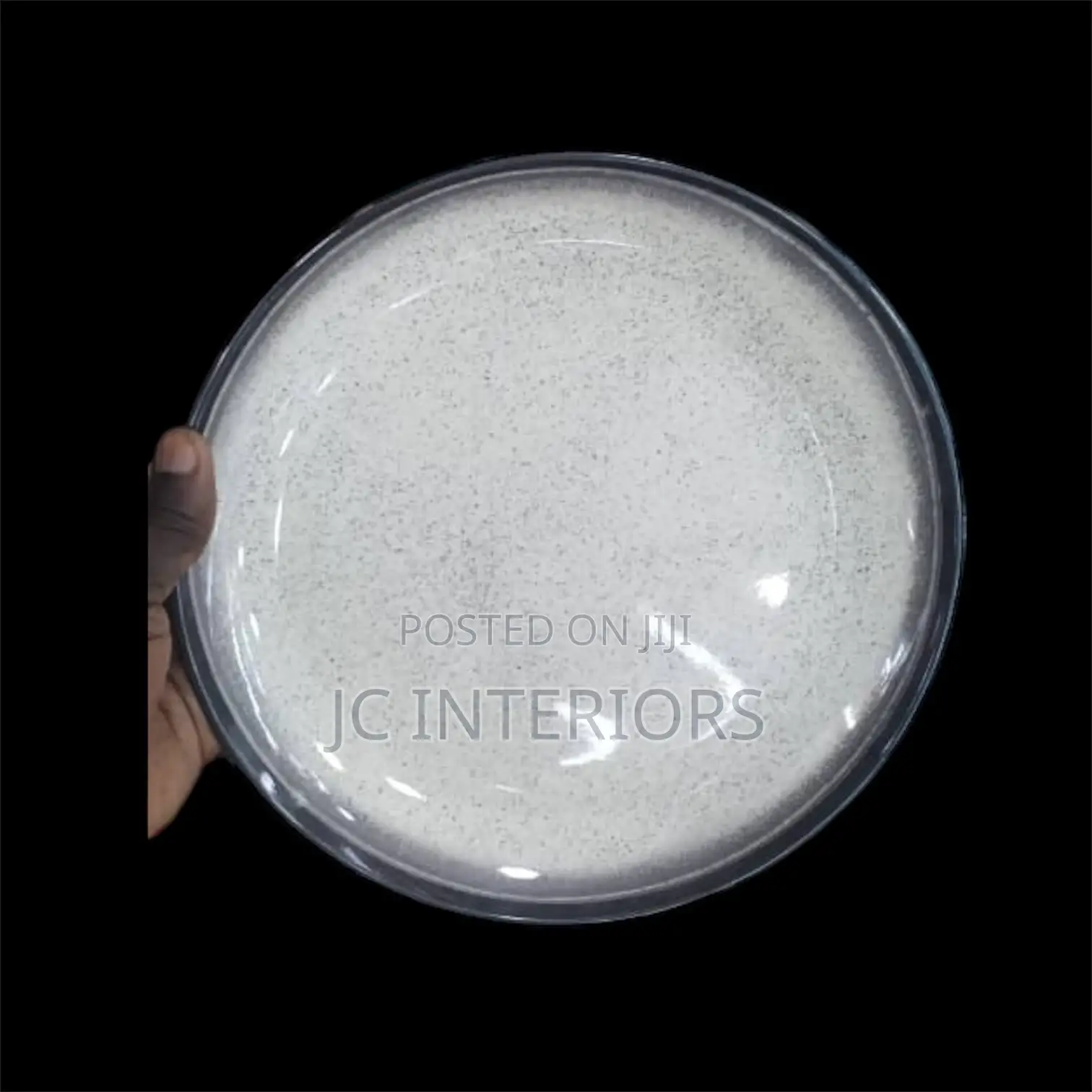 Dinner Plates - Large