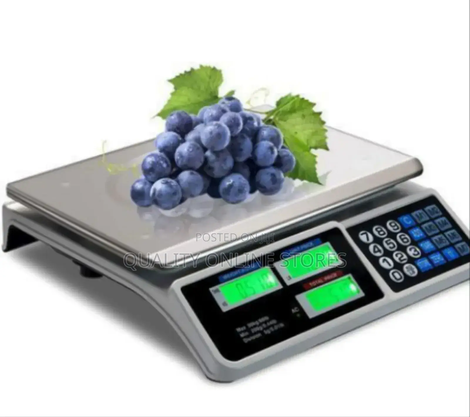 Electronic Scale