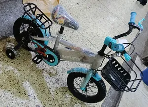 Ultra Size 12 Kids Bicycle