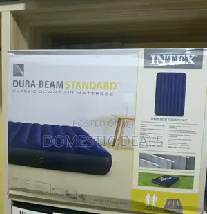 4x6 Intex Inflatable Mattress