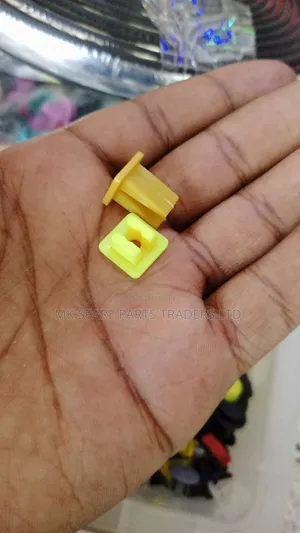 Car Plastic Clips