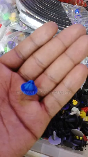 Car Plastic Clips