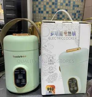 Electric Food Flask