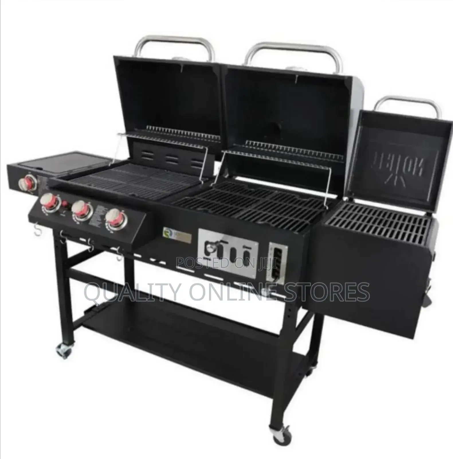 Gass and Charcoal Outdoor BBQ Grill
