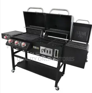 Gass and Charcoal Outdoor BBQ Grill