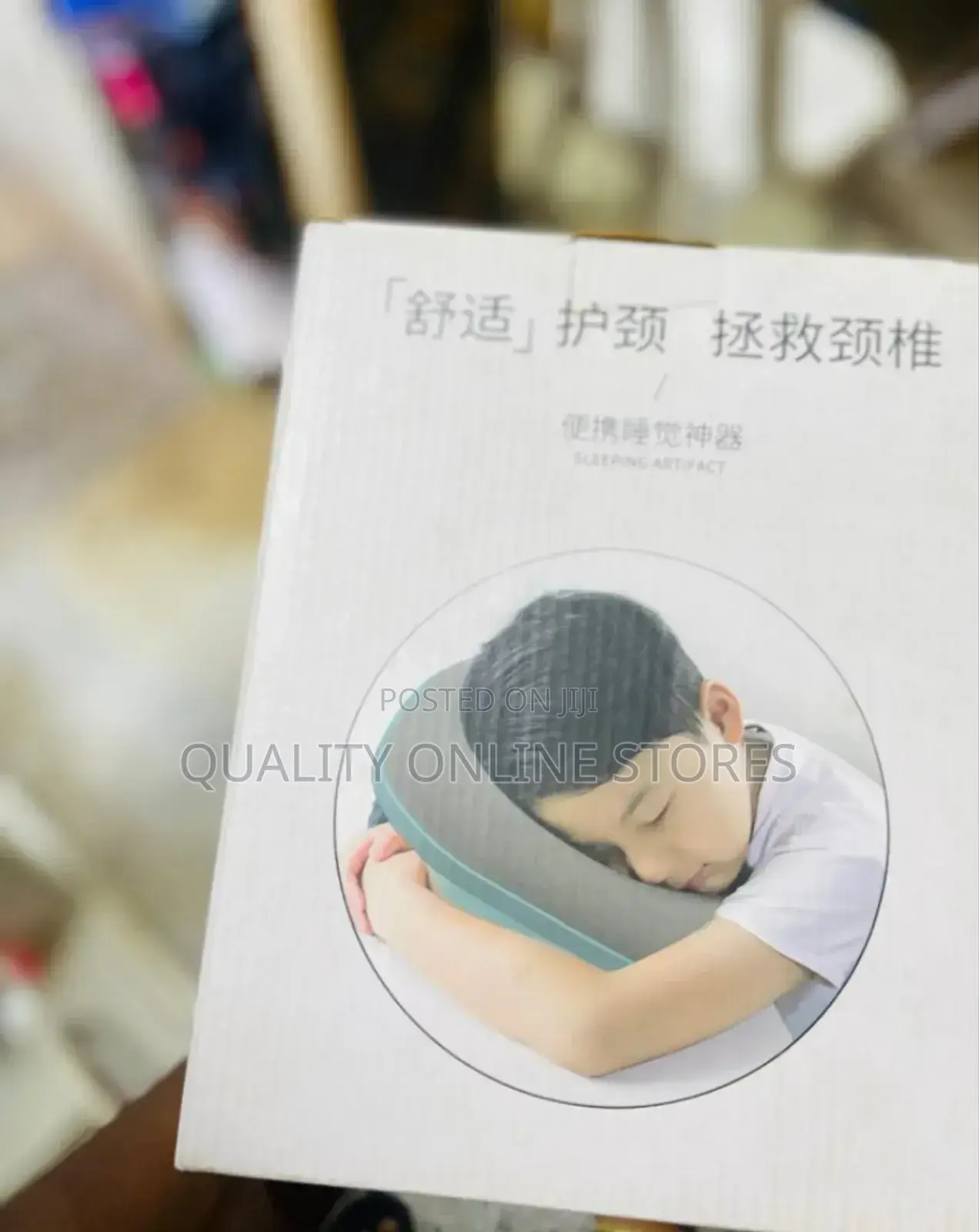 Sleeping Artifacts Pillow