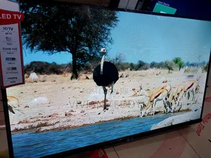 Lg 32 Inches Tv