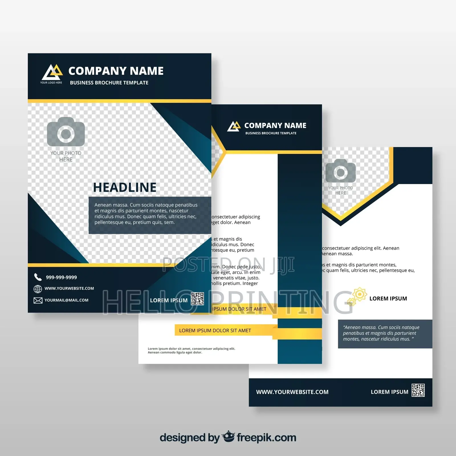 Company Profiles
